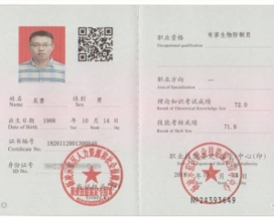 珠海金鼎镇白蚁防治站工作职责-家庭灭白蚁