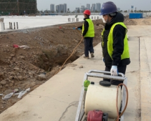 金湾区白蚁防治 金湾白蚁预防 金湾白蚁灭