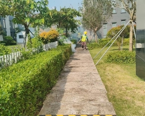 珠海教育和医疗消杀病媒防治