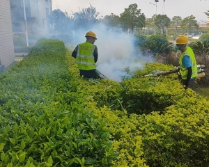 香洲专业的白蚁预防公司